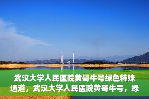 武汉大学人民医院黄哥牛号绿色特殊通道，武汉大学人民医院黄哥牛号，绿色特殊通道开启