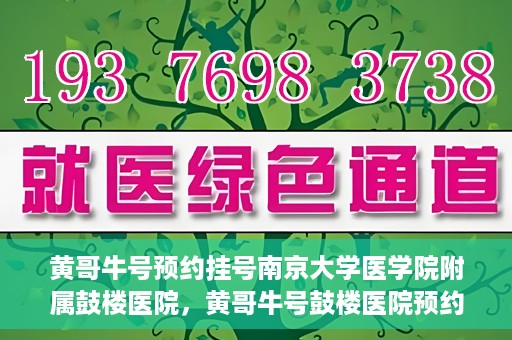 黄哥牛号预约挂号南京大学医学院附属鼓楼医院，黄哥牛号鼓楼医院预约挂号启动，便捷就医新体验