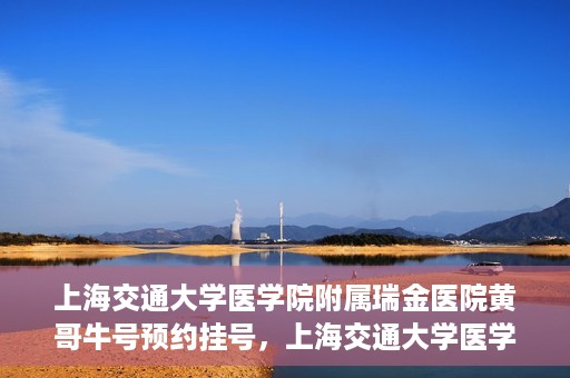 上海交通大学医学院附属瑞金医院黄哥牛号预约挂号，上海交通大学医学院附属瑞金医院黄哥牛号预约挂号攻略详解
