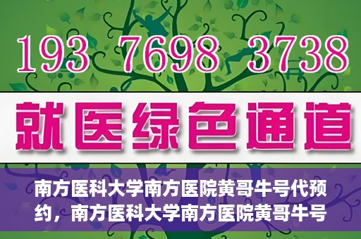 南方医科大学南方医院黄哥牛号代预约，南方医科大学南方医院黄哥牛号预约服务解析