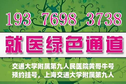 交通大学附属第九人民医院黄哥牛号预约挂号，上海交通大学附属第九人民医院黄哥名医号预约挂号攻略
