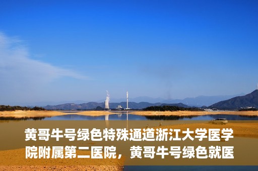 黄哥牛号绿色特殊通道浙江大学医学院附属第二医院，黄哥牛号绿色就医通道，浙江大学医学院附属第二医院的探索与实践