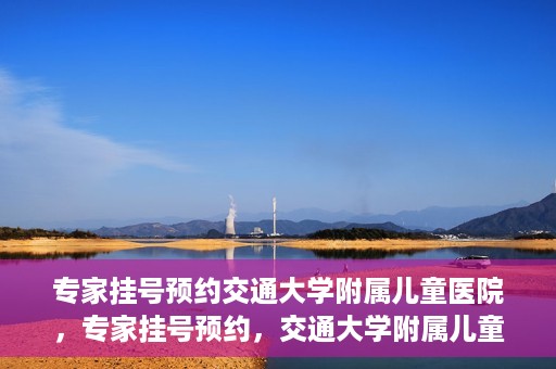 专家挂号预约交通大学附属儿童医院，专家挂号预约，交通大学附属儿童医院就医指南