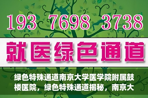 绿色特殊通道南京大学医学院附属鼓楼医院，绿色特殊通道揭秘，南京大学医学院附属鼓楼医院的探索与实践