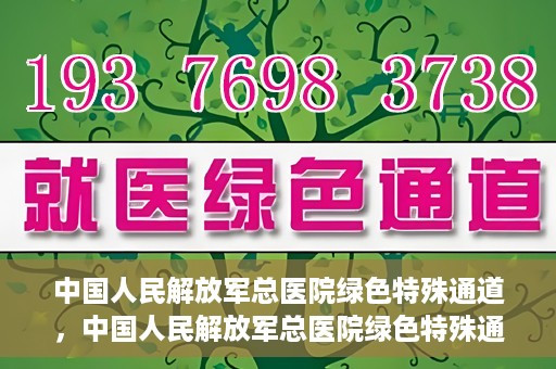 中国人民解放军总医院绿色特殊通道，中国人民解放军总医院绿色特殊通道，医疗服务的紧急通道与人文关怀的完美结合