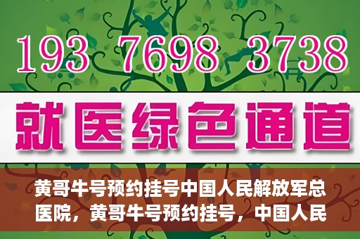 黄哥牛号预约挂号中国人民解放军总医院，黄哥牛号预约挂号，中国人民解放军总医院就医新体验