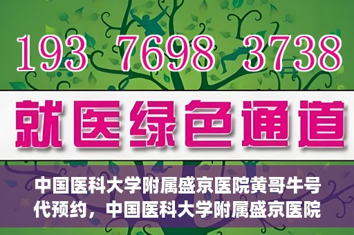 中国医科大学附属盛京医院黄哥牛号代预约，中国医科大学附属盛京医院黄哥牛号预约服务解析