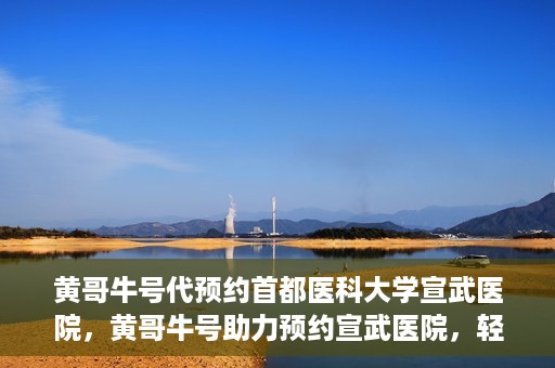 黄哥牛号代预约首都医科大学宣武医院，黄哥牛号助力预约宣武医院，轻松就医体验开启