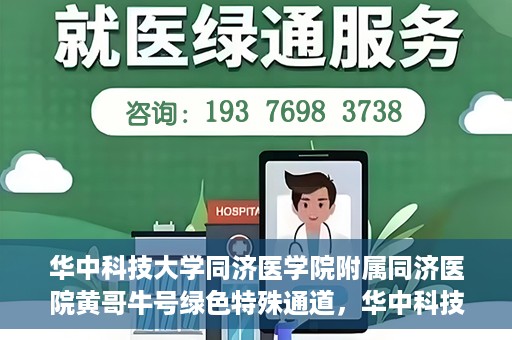 华中科技大学同济医学院附属同济医院黄哥牛号绿色特殊通道，华中科技大学同济医院黄哥牛号绿色特殊通道揭秘