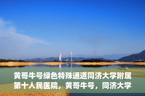 黄哥牛号绿色特殊通道同济大学附属第十人民医院，黄哥牛号，同济大学附属第十人民医院开启绿色特殊通道，助力健康前行