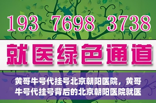 黄哥牛号代挂号北京朝阳医院，黄哥牛号代挂号背后的北京朝阳医院就医现象观察