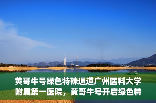 黄哥牛号绿色特殊通道广州医科大学附属第一医院，黄哥牛号开启绿色特殊通道，广州医科大学附属第一医院创新医疗体验