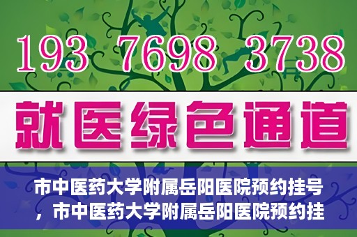 市中医药大学附属岳阳医院预约挂号，市中医药大学附属岳阳医院预约挂号攻略，便捷就医从这里开始