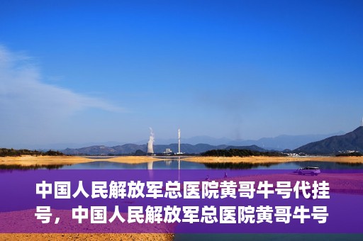 中国人民解放军总医院黄哥牛号代挂号，中国人民解放军总医院黄哥牛号代挂号解析，揭秘挂号背后的故事