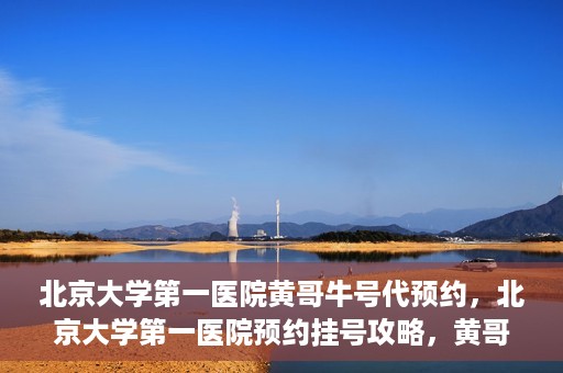 北京大学第一医院黄哥牛号代预约，北京大学第一医院预约挂号攻略，黄哥牛号预约详解