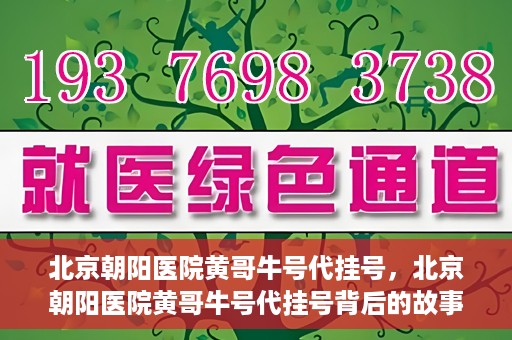 北京朝阳医院黄哥牛号代挂号，北京朝阳医院黄哥牛号代挂号背后的故事揭秘