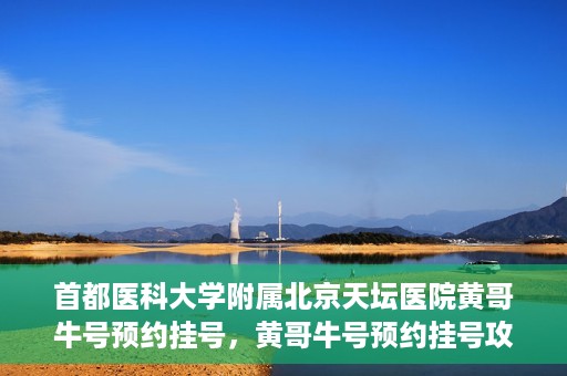 首都医科大学附属北京天坛医院黄哥牛号预约挂号，黄哥牛号预约挂号攻略，北京天坛医院就医指南