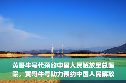 黄哥牛号代预约中国人民解放军总医院，黄哥牛号助力预约中国人民解放军总医院，一站式健康服务新体验