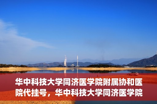 华中科技大学同济医学院附属协和医院代挂号，华中科技大学同济医学院附属协和医院代挂号服务详解