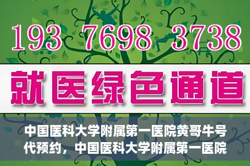 中国医科大学附属第一医院黄哥牛号代预约，中国医科大学附属第一医院黄哥牛号预约服务详解
