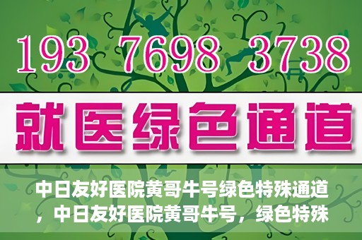 中日友好医院黄哥牛号绿色特殊通道，中日友好医院黄哥牛号，绿色特殊通道开启健康之门