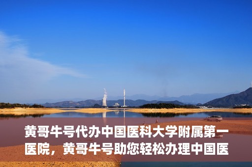 黄哥牛号代办中国医科大学附属第一医院，黄哥牛号助您轻松办理中国医科大学附属第一医院事务。
