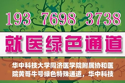 华中科技大学同济医学院附属协和医院黄哥牛号绿色特殊通道，华中科技大学同济医学院附属协和医院黄哥牛号绿色就医特殊通道揭秘