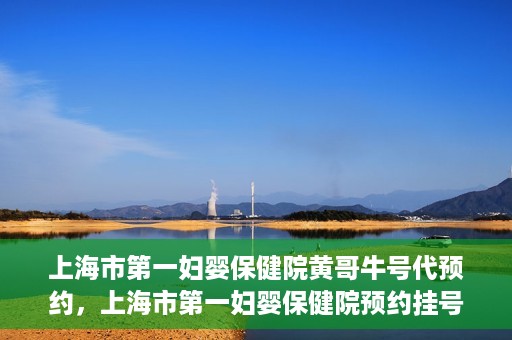 上海市第一妇婴保健院黄哥牛号代预约，上海市第一妇婴保健院预约挂号服务升级，黄哥牛号预约更便捷
