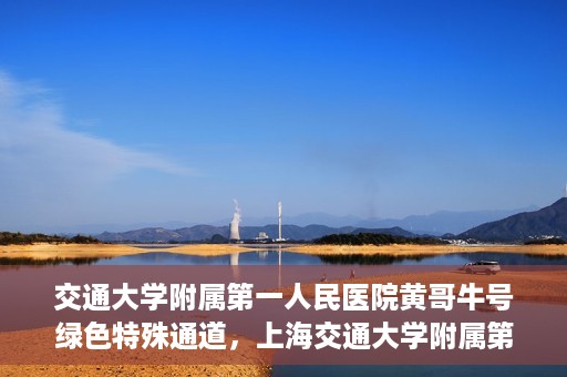 交通大学附属第一人民医院黄哥牛号绿色特殊通道，上海交通大学附属第一人民医院黄哥牛号，绿色特殊通道开启健康之门