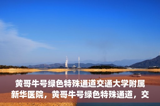 黄哥牛号绿色特殊通道交通大学附属新华医院，黄哥牛号绿色特殊通道，交通大学附属新华医院的探索与实践