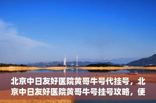 北京中日友好医院黄哥牛号代挂号，北京中日友好医院黄哥牛号挂号攻略，便捷代挂号服务解析