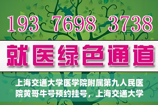 上海交通大学医学院附属第九人民医院黄哥牛号预约挂号，上海交通大学医学院附属第九人民医院黄哥牛号预约挂号攻略解析