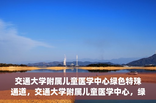 交通大学附属儿童医学中心绿色特殊通道，交通大学附属儿童医学中心，绿色特殊通道，守护儿童健康之路