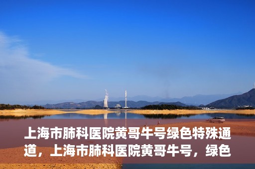 上海市肺科医院黄哥牛号绿色特殊通道，上海市肺科医院黄哥牛号，绿色特殊通道开启健康之门