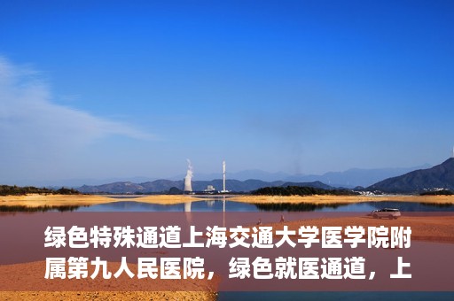 绿色特殊通道上海交通大学医学院附属第九人民医院，绿色就医通道，上海交通大学医学院附属第九人民医院的探索与实践