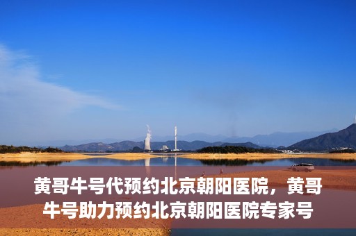 黄哥牛号代预约北京朝阳医院，黄哥牛号助力预约北京朝阳医院专家号