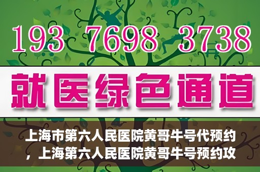 上海市第六人民医院黄哥牛号代预约，上海第六人民医院黄哥牛号预约攻略，轻松解决挂号难题