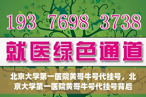 北京大学第一医院黄哥牛号代挂号，北京大学第一医院黄哥牛号代挂号背后的故事与真相探索