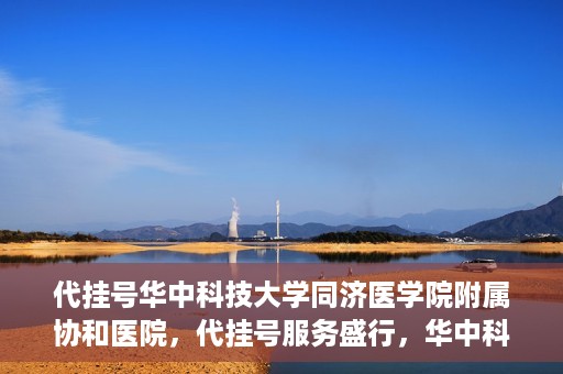 代挂号华中科技大学同济医学院附属协和医院，代挂号服务盛行，华中科技大学同济医学院附属协和医院如何应对挑战？