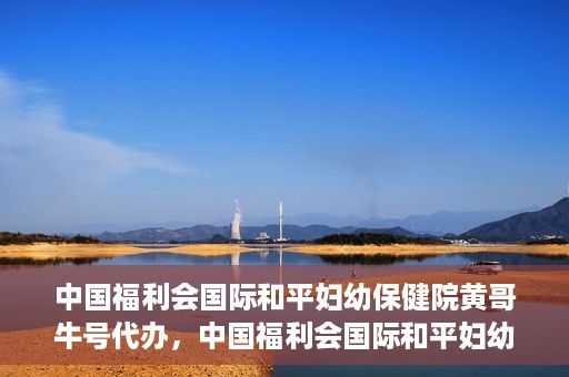 中国福利会国际和平妇幼保健院黄哥牛号代办，中国福利会国际和平妇幼保健院黄哥牛号业务代办全解析