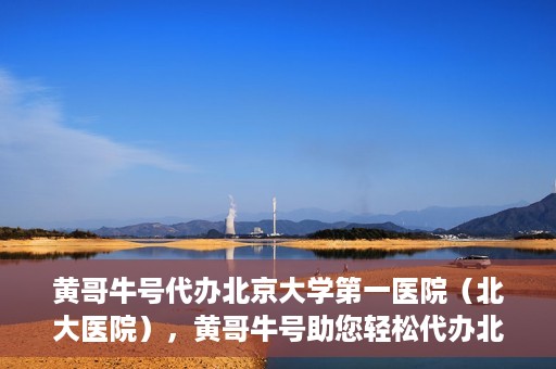 黄哥牛号代办北京大学第一医院（北大医院），黄哥牛号助您轻松代办北大医院事务，一站式服务开启就医新篇章