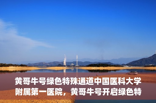 黄哥牛号绿色特殊通道中国医科大学附属第一医院，黄哥牛号开启绿色特殊通道，中国医科大学附属第一医院助力健康中国行动