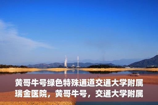 黄哥牛号绿色特殊通道交通大学附属瑞金医院，黄哥牛号，交通大学附属瑞金医院的绿色特殊通道揭秘