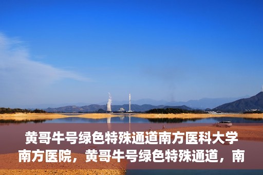 黄哥牛号绿色特殊通道南方医科大学南方医院，黄哥牛号绿色特殊通道，南方医科大学南方医院的探索与实践