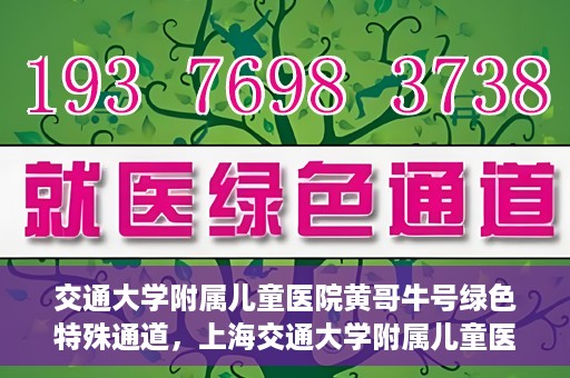 交通大学附属儿童医院黄哥牛号绿色特殊通道，上海交通大学附属儿童医院黄哥牛号绿色特殊通道揭秘