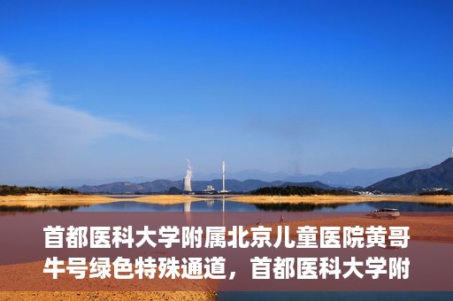 首都医科大学附属北京儿童医院黄哥牛号绿色特殊通道，首都医科大学附属北京儿童医院，黄哥牛号绿色特殊通道，助力儿童健康之路