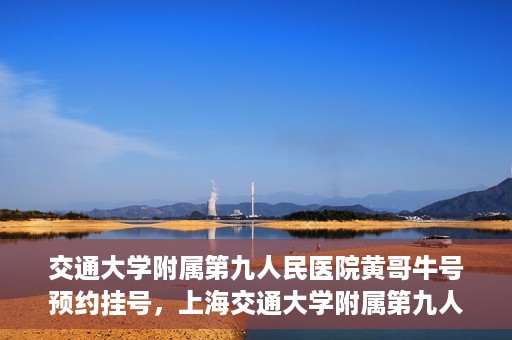 交通大学附属第九人民医院黄哥牛号预约挂号，上海交通大学附属第九人民医院黄哥名医号预约挂号攻略