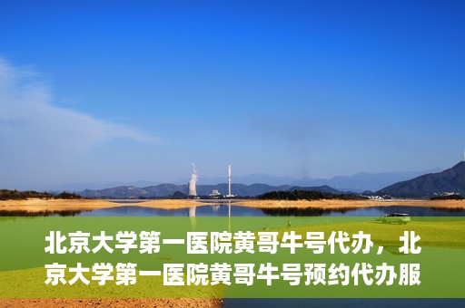 北京大学第一医院黄哥牛号代办，北京大学第一医院黄哥牛号预约代办服务攻略