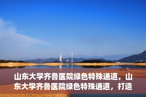 山东大学齐鲁医院绿色特殊通道，山东大学齐鲁医院绿色特殊通道，打造健康新通道，引领医疗新时代