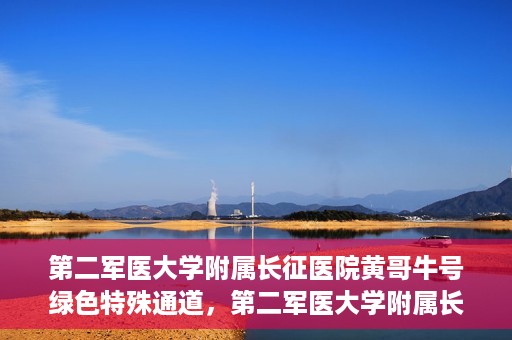 第二军医大学附属长征医院黄哥牛号绿色特殊通道，第二军医大学附属长征医院黄哥牛号，绿色特殊通道的医学之光